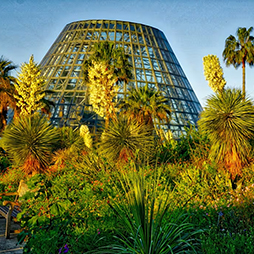 Botanical Garden